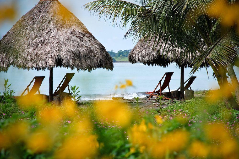Iguana Lodge Beach Resort Puerto Jiménez エクステリア 写真