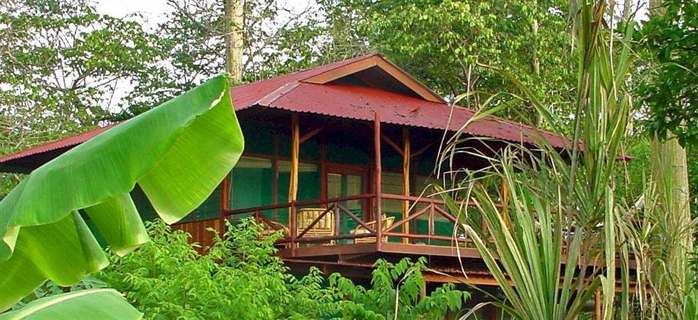 Iguana Lodge Beach Resort Puerto Jiménez エクステリア 写真