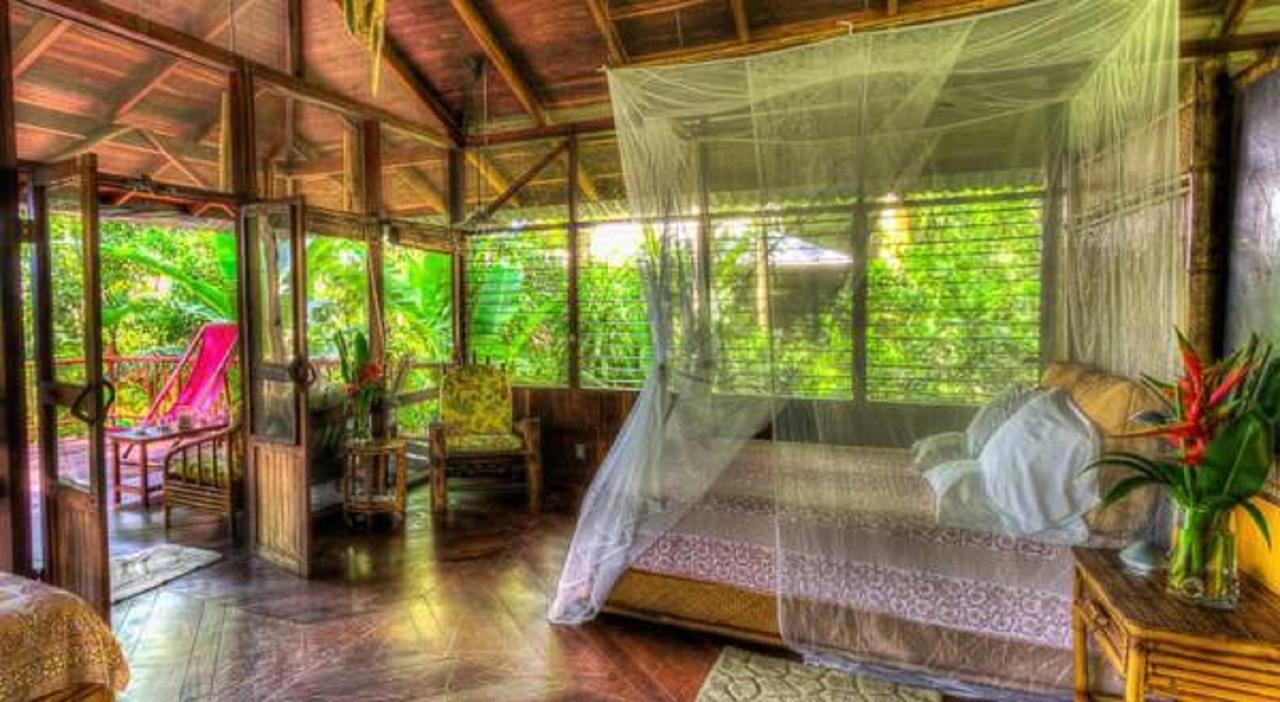Iguana Lodge Beach Resort Puerto Jiménez エクステリア 写真