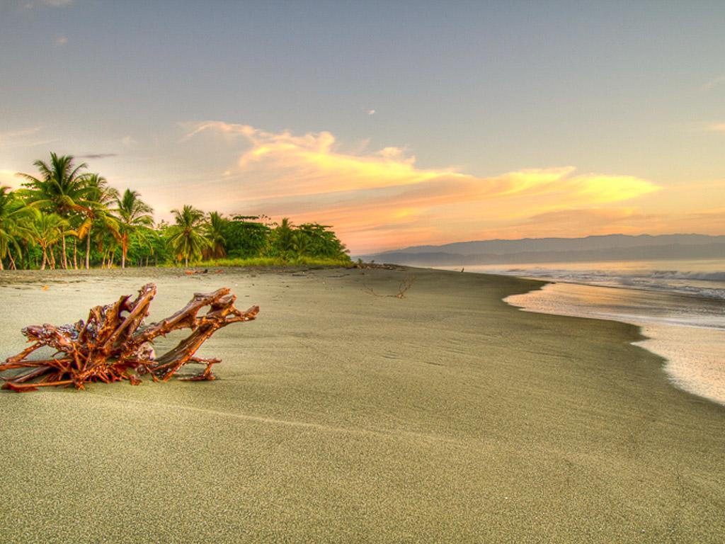 Iguana Lodge Beach Resort Puerto Jiménez エクステリア 写真